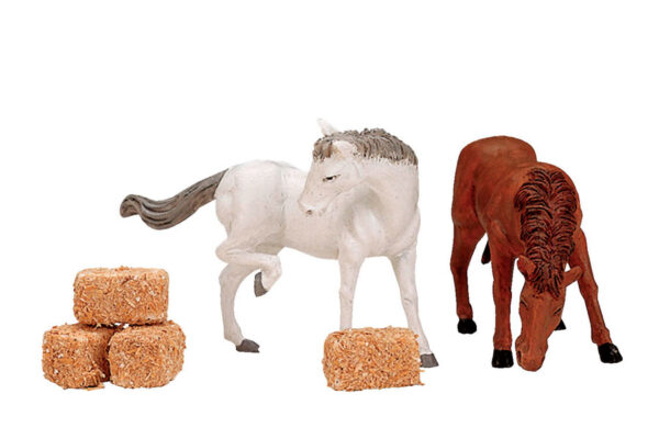 Caballos