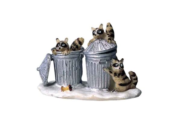Mapaches entre contenedores de basura
